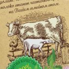 Натуральный дизайн для «Села Зеленого»