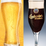 Budweiser versus Budweiser