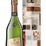 Codorníu modernises the luxury gift pack scene