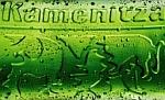 New Bulgarian Kamenitza Lev beer