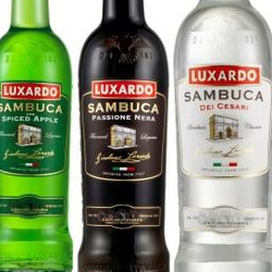 Британские ликеры Luxardo в новом имидже Британские ликеры Luxardo в новом имидже