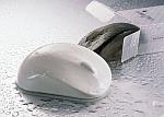 Mouse packed in a soap box