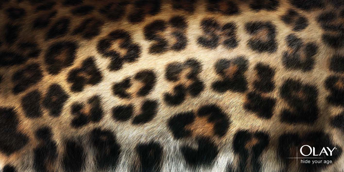 Olay: 53 (Leopard)