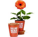 Honey pots by The Partners agency