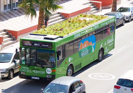avtobus-zelenaja-krysha2