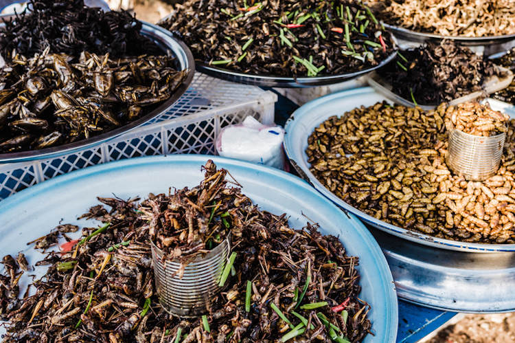Fried insects for sale in street market Siem reap Cambodia