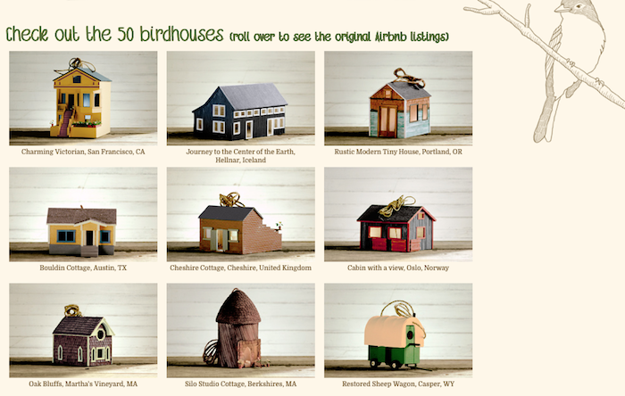 airbnb_hometoyou_birds_03